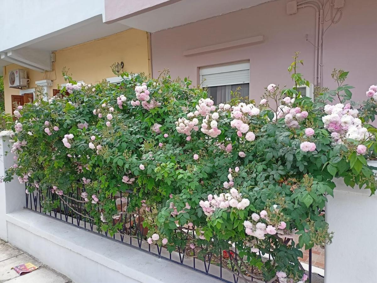 Family House Kos Down Town 아파트 외부 사진